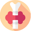 Endocrinology & Diabetology